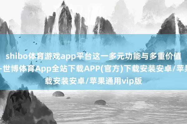 shibo体育游戏app平台这一多元功能与多重价值的聚积之地-世博体育App全站下载APP(官方)下载安装安卓/苹果通用vip版