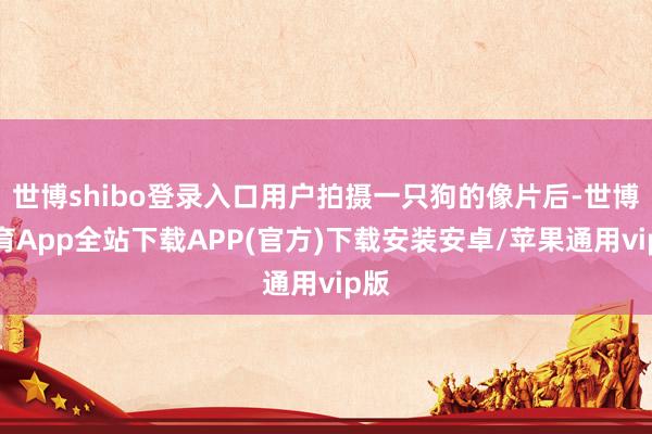 世博shibo登录入口用户拍摄一只狗的像片后-世博体育App全站下载APP(官方)下载安装安卓/苹果通用vip版