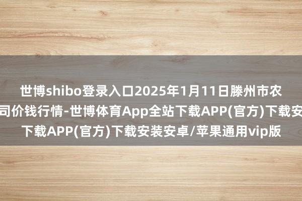 世博shibo登录入口2025年1月11日滕州市农副居品物流中心有限公司价钱行情-世博体育App全站下载APP(官方)下载安装安卓/苹果通用vip版