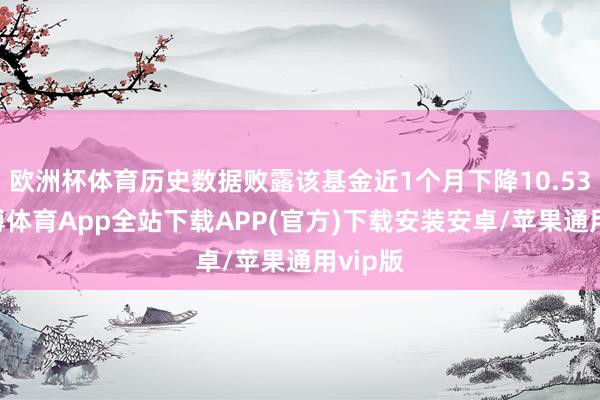 欧洲杯体育历史数据败露该基金近1个月下降10.53%-世博体育App全站下载APP(官方)下载安装安卓/苹果通用vip版