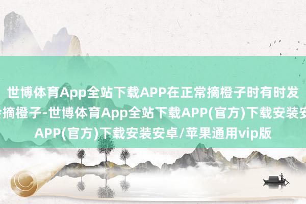 世博体育App全站下载APP在正常摘橙子时有时发现小狗“毛毛”也会摘橙子-世博体育App全站下载APP(官方)下载安装安卓/苹果通用vip版