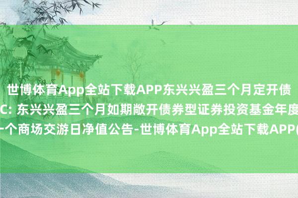 世博体育App全站下载APP东兴兴盈三个月定开债A,东兴兴盈三个月定开债C: 东兴兴盈三个月如期敞开债券型证券投资基金年度终末一个商场交游日净值公告-世博体育App全站下载APP(官方)下载安装安卓/苹果通用vip版