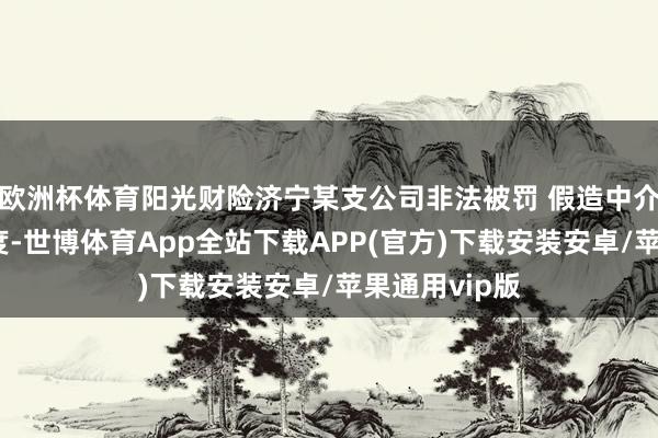 欧洲杯体育阳光财险济宁某支公司非法被罚 假造中介业务套取用度-世博体育App全站下载APP(官方)下载安装安卓/苹果通用vip版