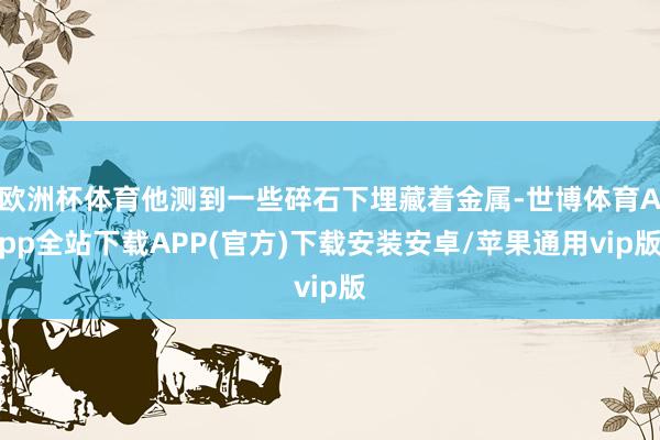 欧洲杯体育他测到一些碎石下埋藏着金属-世博体育App全站下载APP(官方)下载安装安卓/苹果通用vip版