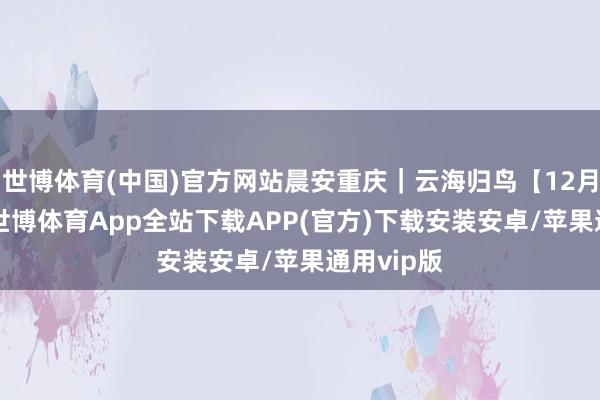 世博体育(中国)官方网站晨安重庆｜云海归鸟【12月10日】-世博体育App全站下载APP(官方)下载安装安卓/苹果通用vip版